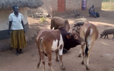 How A WNSP sponsored VSLA Helped a Single Mother Grow Her Farm’s Productivity and Revenue